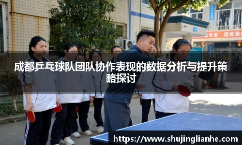 成都乒乓球队团队协作表现的数据分析与提升策略探讨