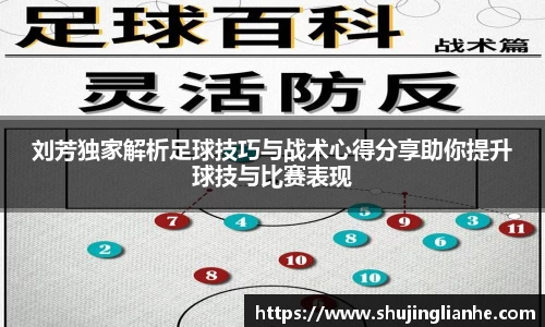 刘芳独家解析足球技巧与战术心得分享助你提升球技与比赛表现