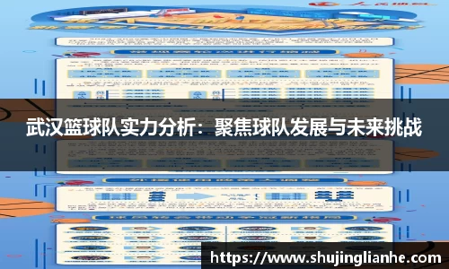武汉篮球队实力分析：聚焦球队发展与未来挑战