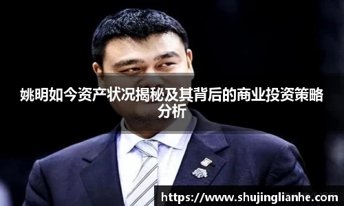 姚明如今资产状况揭秘及其背后的商业投资策略分析