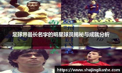 zoty中欧官网